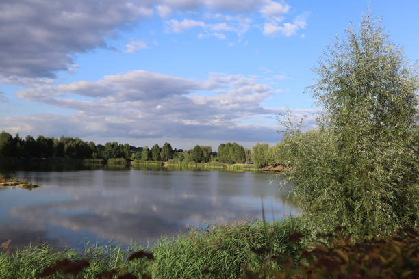 istock Scenery landscape with lake, trees and cloudy sky. 1688956184