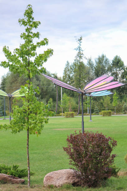 istock Buchansky City Park in Ukraine. 1688956594