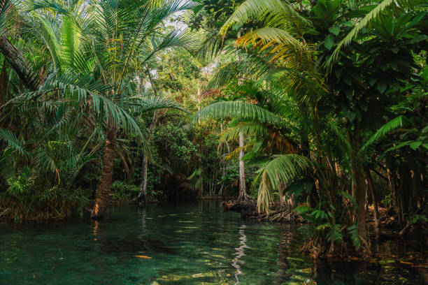 istock Lush green jungles and lagoon 1688967639
