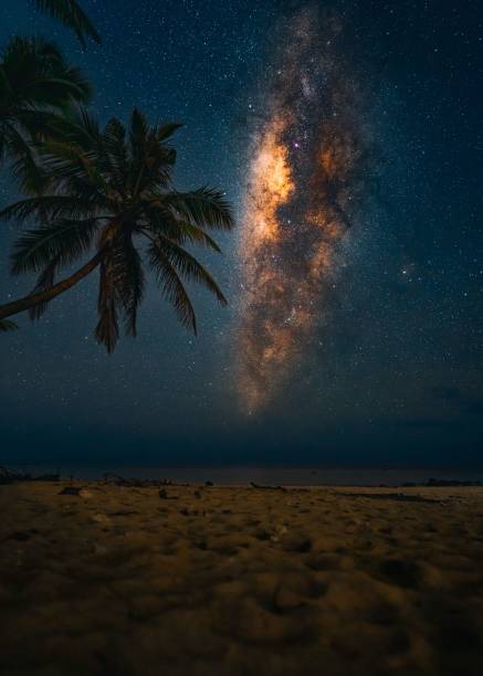 istock two palm trees on the beach under the milky's glow 1688971958