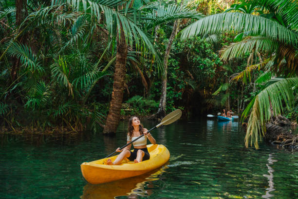 Woman kayaking in the  lagoon in jungles Young woman on yellow kayak  in the  lagoon in jungles kayak surfing stock pictures, royalty-free photos & images