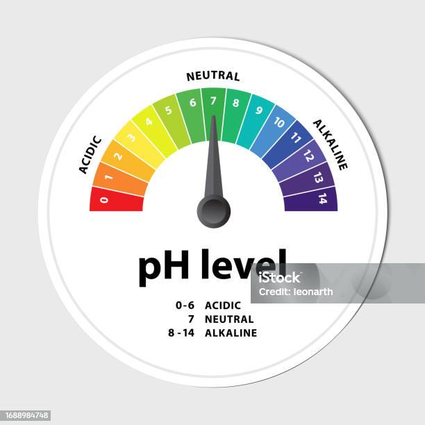 Ph Level Scale Chart Indicator Diagram Value Alkaline Neutral Acidic