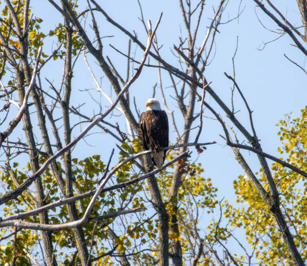 istock Birding and Hiking 1688989850