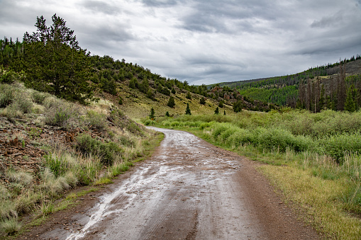 Muddy dirt road in southwest Colorado in western USA of North America.