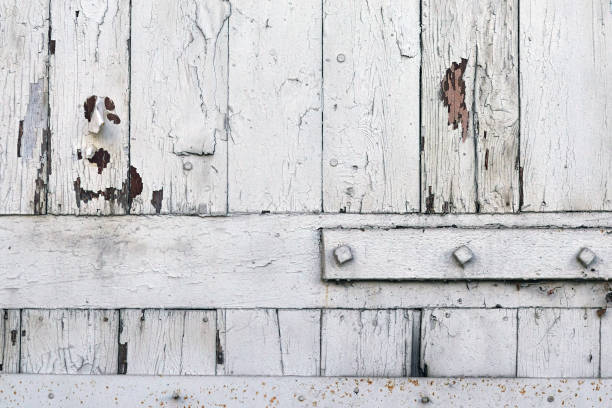 istock Old wooden door with peeling white paint and rusty nails, background 1689008861