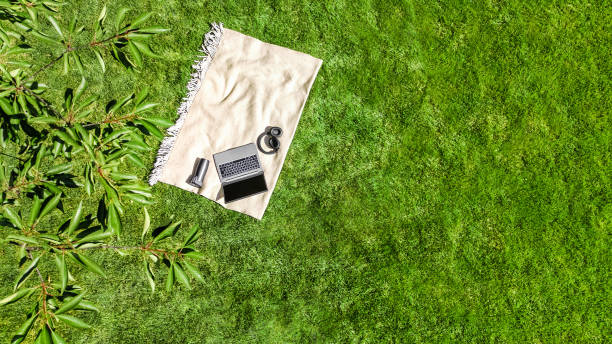 istock Laptop computer and headphones on park green grass, working and studying online outdoors, work outside office concept, aerial top view from above 1689014165