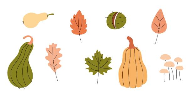Vector set of autumn icons: pumpkins, falling leaves, chestnut, mushrooms. Vector set of autumn icons: pumpkins, falling leaves, chestnut, mushrooms. A collection of scrapbooks with elements of the autumn season. Bright background for harvesting. Autumn card knitted pumpkin stock illustrations