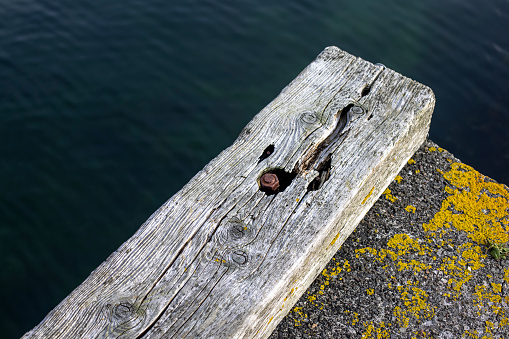 A wooden Beam is fastened to a harbour wall by a rusted bolt. The beam is split and rotten. Yellow-green lichen can be seen on the concrete of the harbour.