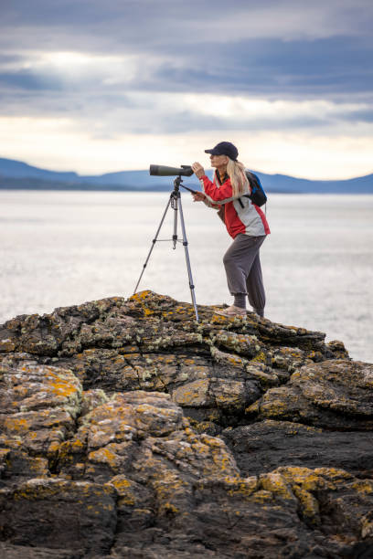 osservatore di uccelli femminile - torridon foto e immagini stock