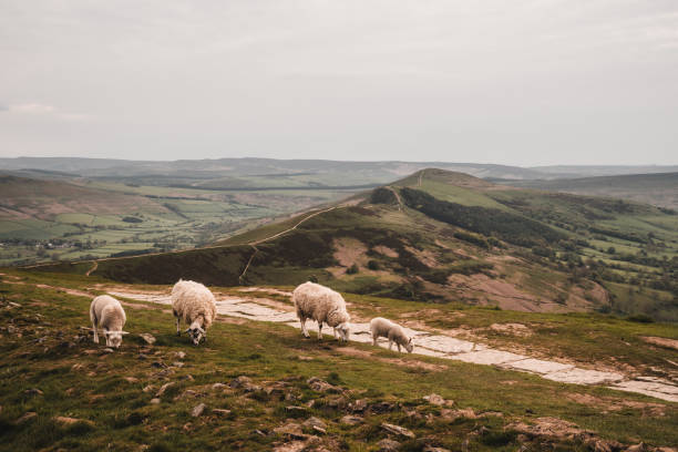 istock Sunrise at Mam Tor, The Peak District, England, UK 1689025977
