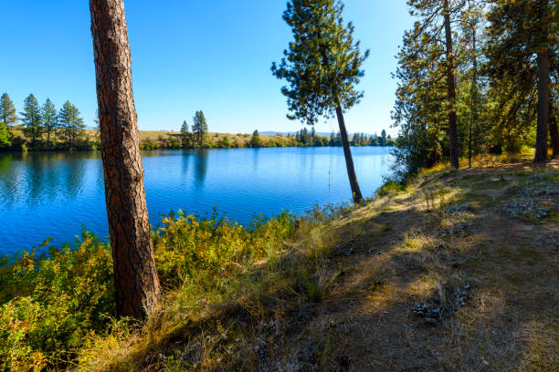 istock The Spokane River at summer as it runs past the public Boulder Beach and Centennial Trail area in Spokane, Washington USA. 1689032803