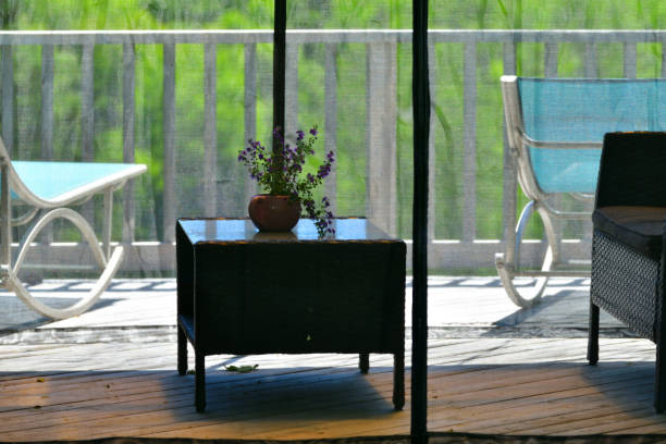Summer Day View Through the Gazebo Screen