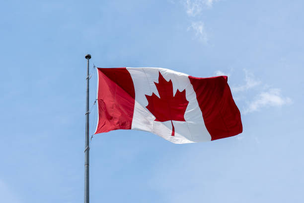 istock Flag of Canada on flagpole with blue sky in background 1689046801