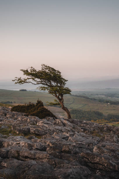 istock Twistleton Scars, Yorkshire Dales, England, UK 1689064976