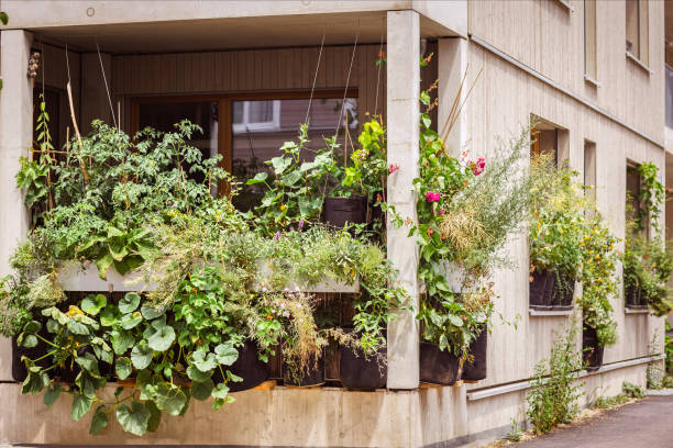 istock Balcony Garden Flat with Organic Growing. 1689065726
