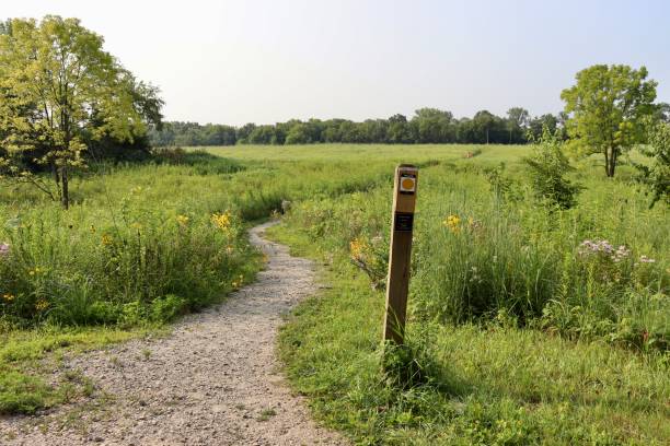 istock Hiking in the Tall Grass Prairie 1689067477