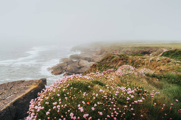 Dunmore Cliff Walk, Dunmore East, Waterford, Ireland
