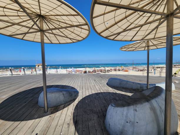istock Beach umbrellas  in Tel Aviv, Israel 1689115016
