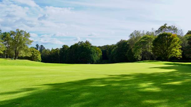 istock Manicured Green Grass of a Golf Fairway 1689117781