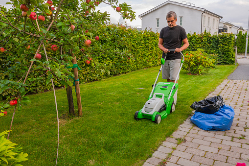 Man trimming green grass lawn with electric lawn mower.