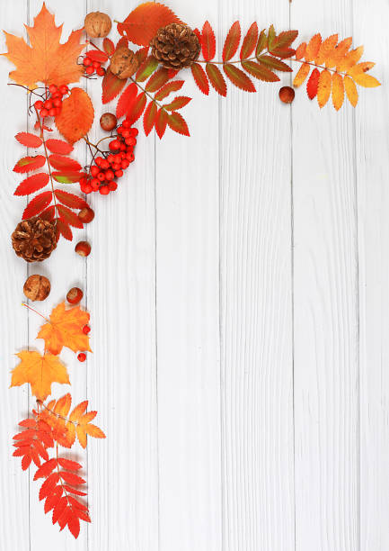 istock Frame with maple leaves, pine cones, nuts, pumpkins and rowan berries, autumn abstract composition, Thanksgiving concepts, seasonal background, banner or screensaver, greeting card or invitation with place for text 1689122314