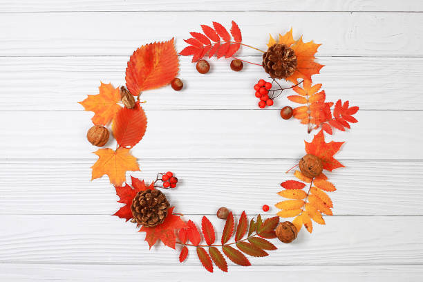 istock Autumn abstract composition with maple leaves, pine cones, nuts,pumpkins and rowan berries, still life, Thanksgiving concept, seasonal background, banner or screensaver 1689122332