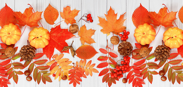 Autumn abstract composition with maple leaves, pine cones, nuts,pumpkins and rowan berries, still life, Thanksgiving concept, seasonal background, banner or screensaver, greeting card or invitation, selective focus