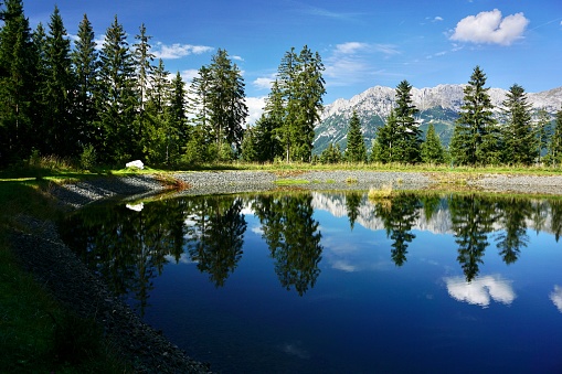 Fir trees, mountains and the sky with clouds are reflected in the water. A lake with a mirror image of trees and clouds. The trees and the sky with clouds reflected in the lake.