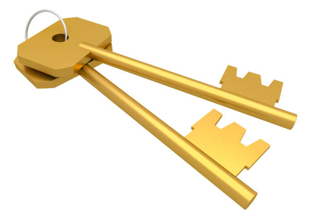 istock Two golden key isolated on white background. Enter concept 1689124680