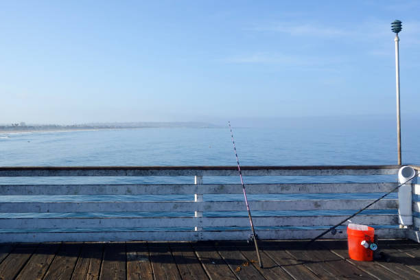 angelruten am crystal pier, san diego, ca - sunbathing surf sea pacific ocean stock-fotos und bilder