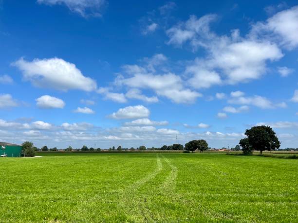 istock Walking path in summer among the grass and under the blue sky. Blue sky and green grass. A typical Bavarian summer picture. A walk through summer Bavaria. 1689134105