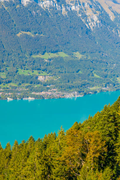 istock Swiss Village 1689154515