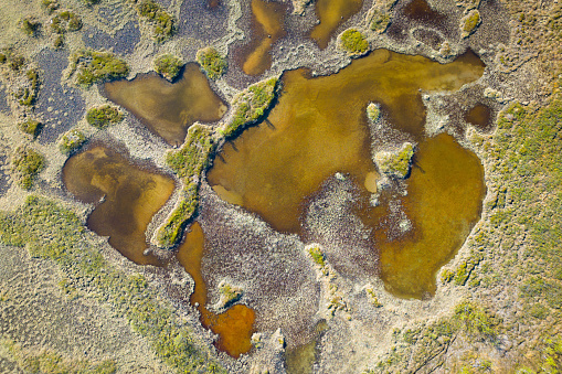 Abstract view down on natural wetland in Lapland, Finland