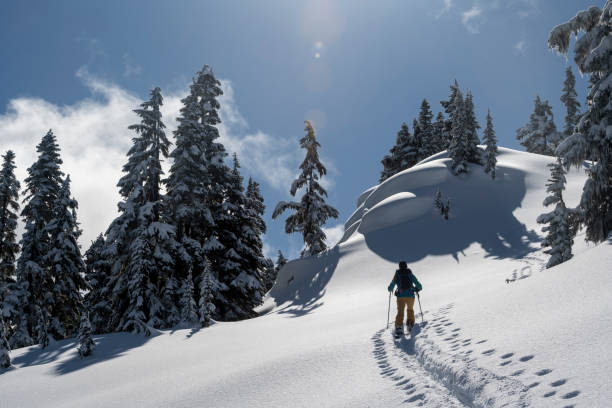 istock woman backcountry snowboarding 1689185789