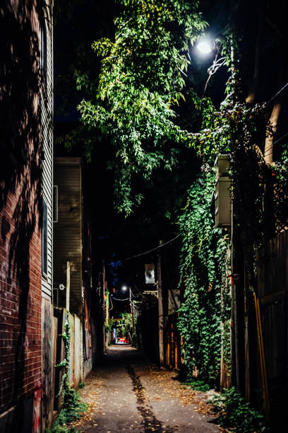 istock Dark alley  - Montreal 1689208495