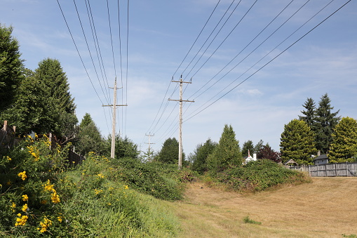 Rows of power lines over a dry greenway in Metro Vancouver, British Columbia.