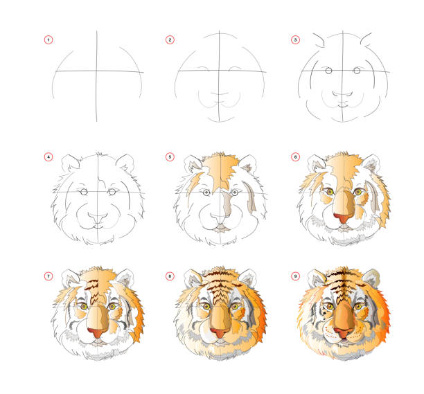 80+ Cat Drawing Tutorial Stock Photos, Pictures & Royalty-Free Images ...