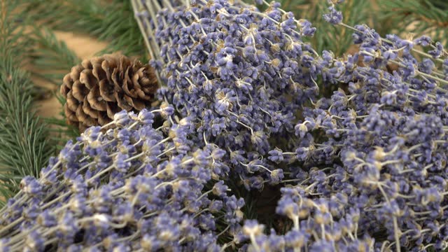Dried lavender flowers, pine cones and fresh pine branches, aromatherapy and herbal therapy