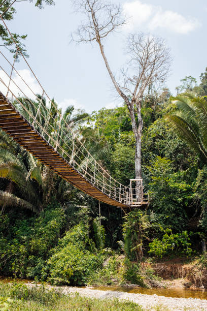 istock View of hanging bridge 1689402313