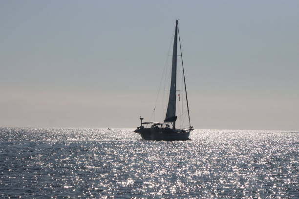 istock Sailboat Silhouette Against A Sunny Sky 1689453465