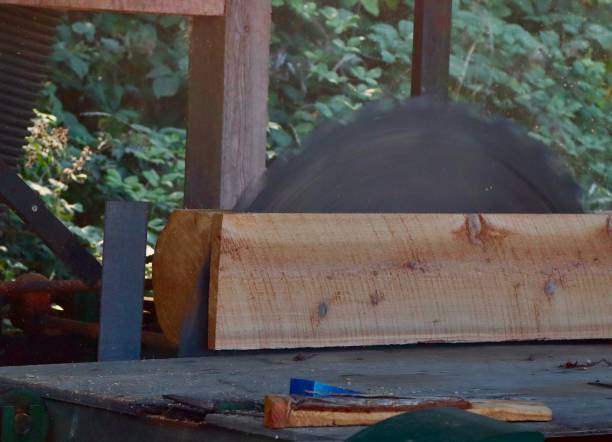 Close-up of the cutting of a cedar board at an old fashioned sawmill
