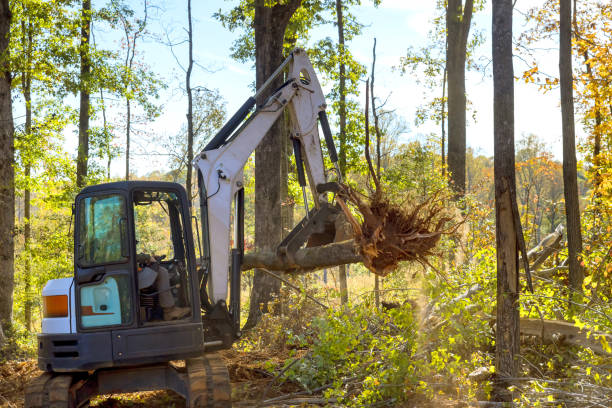 istock Tractor skid steer clearing land from roots for being prepared for construction housing development a complex 1689496360