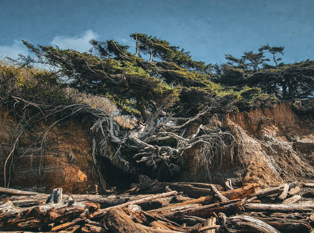 istock The tree of life 1689497388