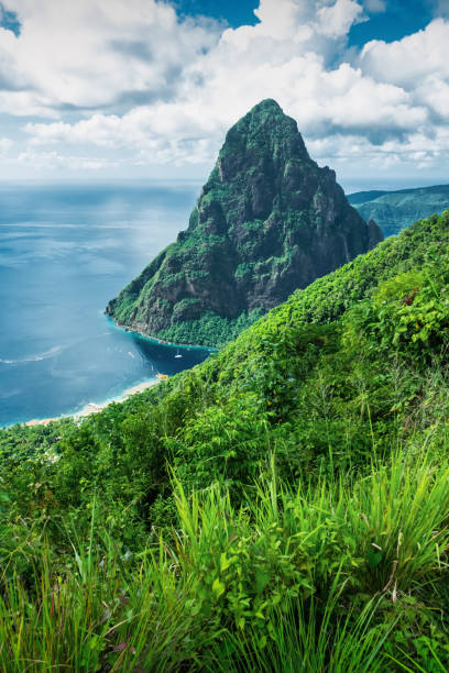 istock Saint Lucia The Pitons Landmark Mountain 1689597487