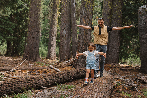 A cute three year old Eurasian girl and her fun and loving father walk along a fallen tree trunk with their arms stretched out for balance during an adventurous family hike through a forest in Oregon.