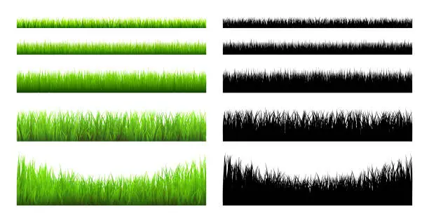 Vector illustration of Meadow silhouettes with grass, plants on plain. Green and black panoramic summer lawn landscape with herbs, various weeds. Herbal border, frame element. Horizontal banners. Vector illustration