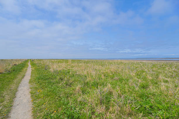 istock Todowara and Narawara 1689717774