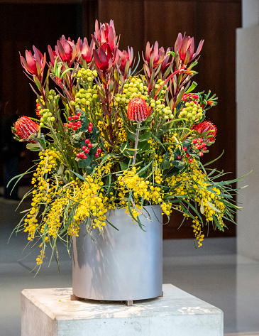 Bucket of iconic Australian spring flowers.