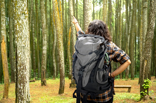 Rear view of an Asian woman trekking in the forest while pointing to something. Traveling activity
