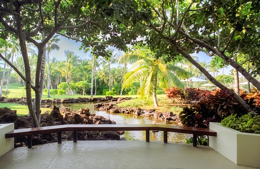 A vintage film photograph of a tropical Hawaii garden with palm trees and a reflective water pond.